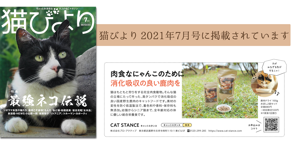 猫びより　2021年7月号に掲載されています