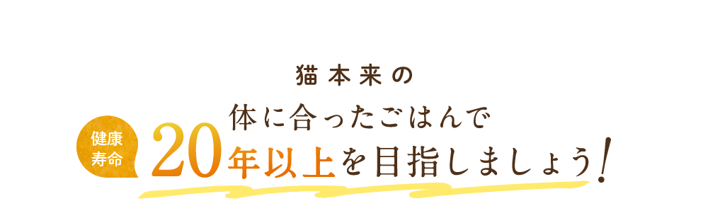 猫本来のp体に合ったごはんで健康寿命20年以上を目指しましょう！