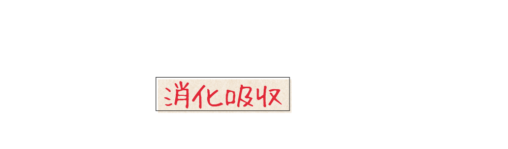 今のフードは消化吸収できていない？！