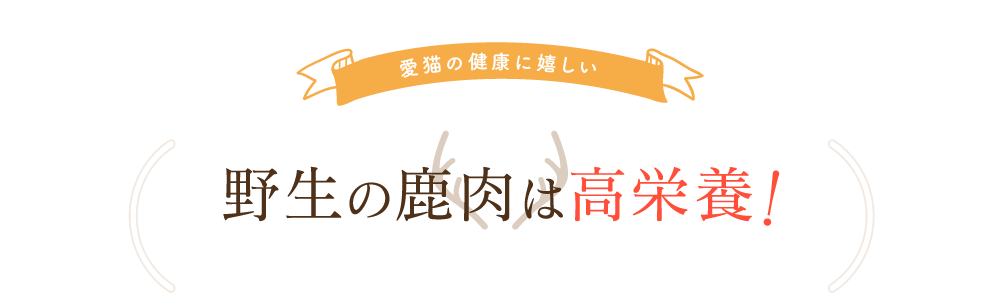 野生の鹿肉は高栄養