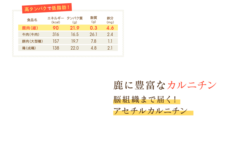 鹿に豊富なカルニチン　脳組織まで届く！アセチルカルニチン