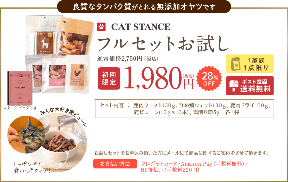 CAT　STANCE　フルセットお試し