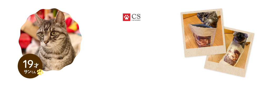 キャットスタンスはサンガ食べたものしか取り扱いしません