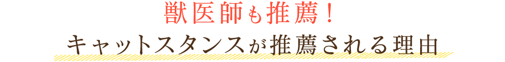 獣医師も推薦！ キャットスタンスが推薦される理由