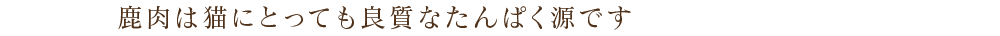 鹿肉は猫にとっても良質なたんぱく源です