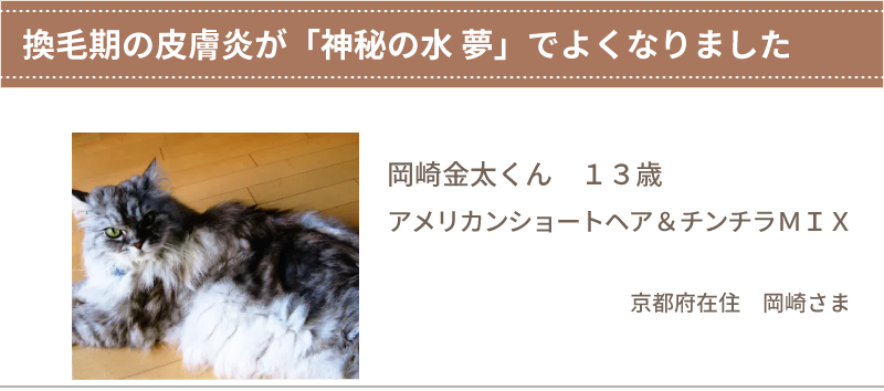 換毛期の皮膚炎が「神秘の水 夢」でよくなりました