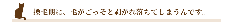 換毛期に、毛がごっそと剥がれ落ちてしまうんです。