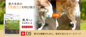 愛犬本来の「生命力」を呼び覚ます