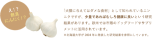 「犬猫に与えてはダメな食材」として知られているニンニクですが、少量であればむしろ健康に良いという研究結果があります。欧米では市販のドッグフードやサプリメントに活用されています。