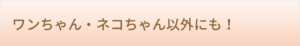 ワンちゃん・ネコちゃん以外にも！