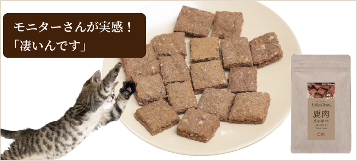 モニターさんが実感！