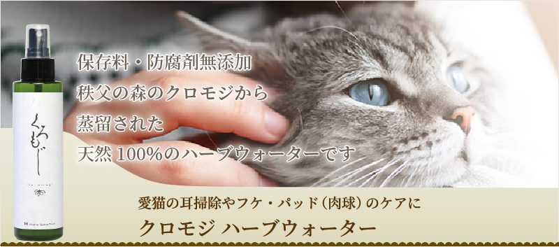 愛猫の耳掃除やフケ・パッド(肉球)のケアにクロモジ ハーブウォーター