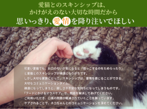 愛猫とのスキンシップは、思いっきり愛情を注いで欲しい