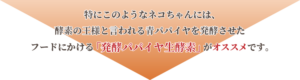 発酵パパイヤ生酵素がオススメです