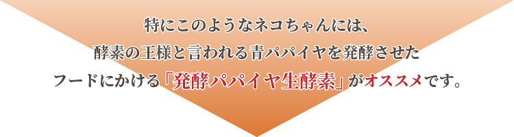 発酵パパイヤ生酵素がオススメです