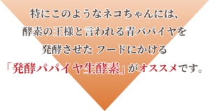 発酵パパイヤ生酵素がオススメです