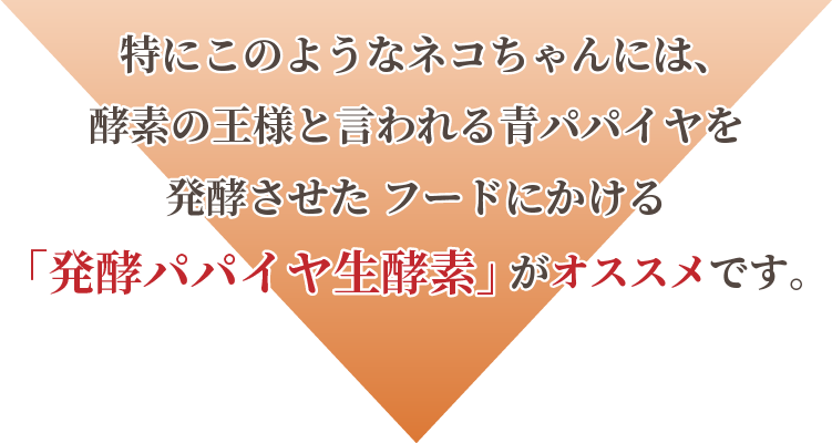 猫 酵素 発酵パパイヤ生酵素 無添加 国産キャットフードのキャットスタンス