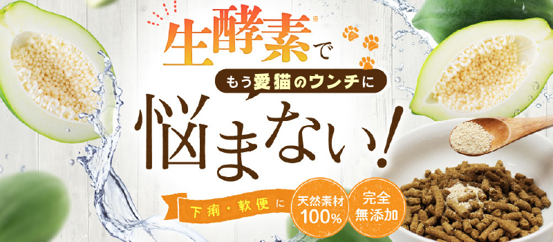 生酵素で愛猫のウンチに悩まない!