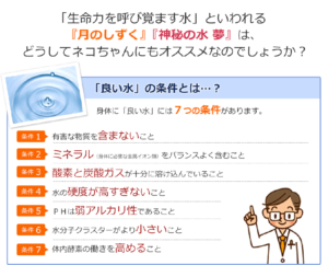 生命力を呼び覚ます水と言われる「月のしずく」「神秘の水 夢」は、どうしてネコちゃんにもオススメなのでしょうか？