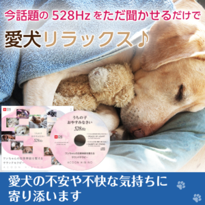 Dr.528うちの子おやすみなさい
