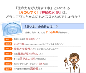 「生命力を呼び覚ます水」といわれる「月のしずく」「神秘の水夢」は、どうしてワンちゃんにもおススメなのでしょうか？