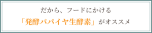 キャットスタンス,CATSTANCE