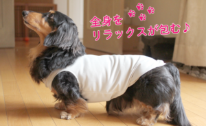 全身をリラックスが包む♪