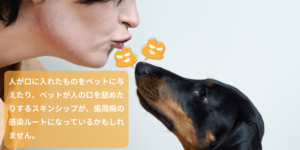 人が口に入れたものをペットに与えたり、ペットが人の口を舐めたりするスキンシップが、歯周病の感染ルートになっているかもしれません。