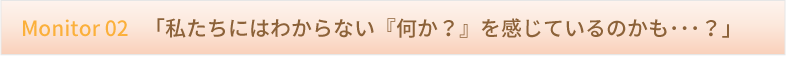 Monitor 02 　「私たちにはわからない『何か？』を感じているのかも･･･？」