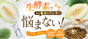 生酵素でもう愛犬のウンチに悩まない！