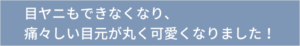 目ヤニも出来なくなり、痛々しい目元が丸く可愛くなりました！