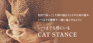 キャットスタンス,CATSTANCE