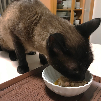 封の開けたては食いつきが良い