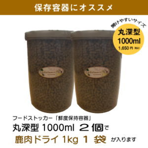キャットスタンス,CATSTANCE