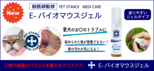 キャットスタンス,CATSTANCE