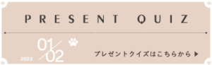 キャットスタンス,CATSTANCE