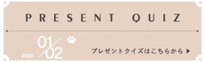 キャットスタンス,CATSTANCE