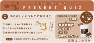 キャットスタンス,CATSTANCE
