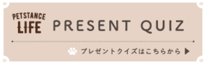 キャットスタンス,CATSTANCE