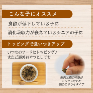 キャットスタンス,CATSTANCE