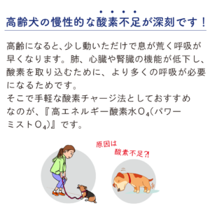 キャットスタンス,CATSTANCE