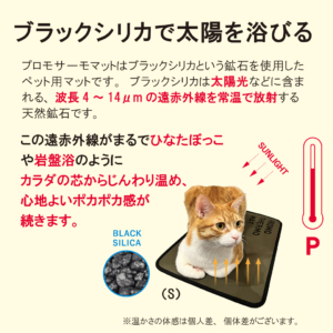 キャットスタンス,CATSTANCE