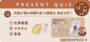 キャットスタンス,CATSTANCE