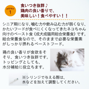 キャットスタンス,CATSTANCE