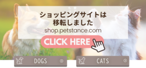キャットスタンス,CATSTANCE