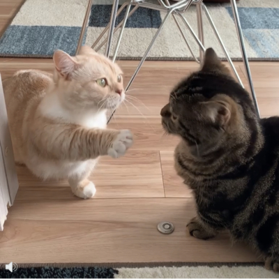 口腔ケアしています